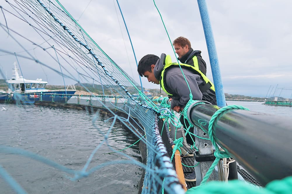 MIT Sea Grant students explore the intersection of technology and offshore aquaculture in Norway MIT Sea Grant students explore the intersection of technology and offshore aquaculture in Norway
