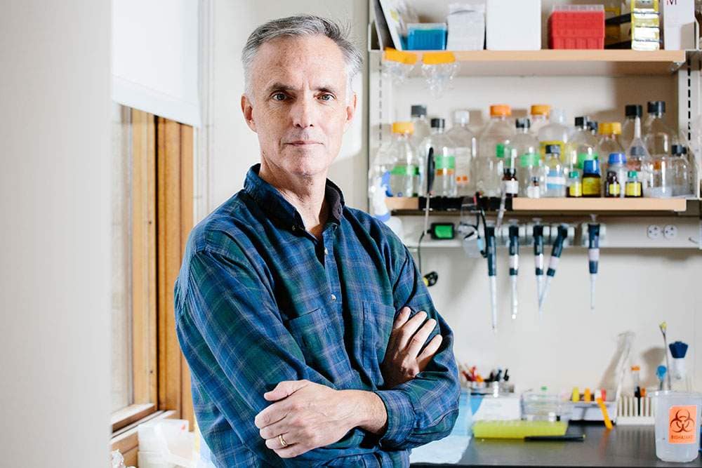 3 Questions: Using AI to accelerate the discovery and design of therapeutic drugs 3 Questions: Using AI to accelerate the discovery and design of therapeutic drugs