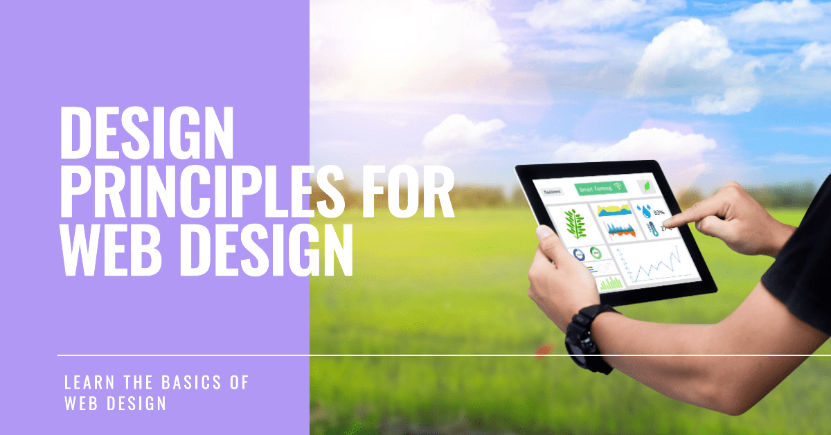 What are the design principles to start a Web Design? what-are-the-design-principles-to-start-a-web-design