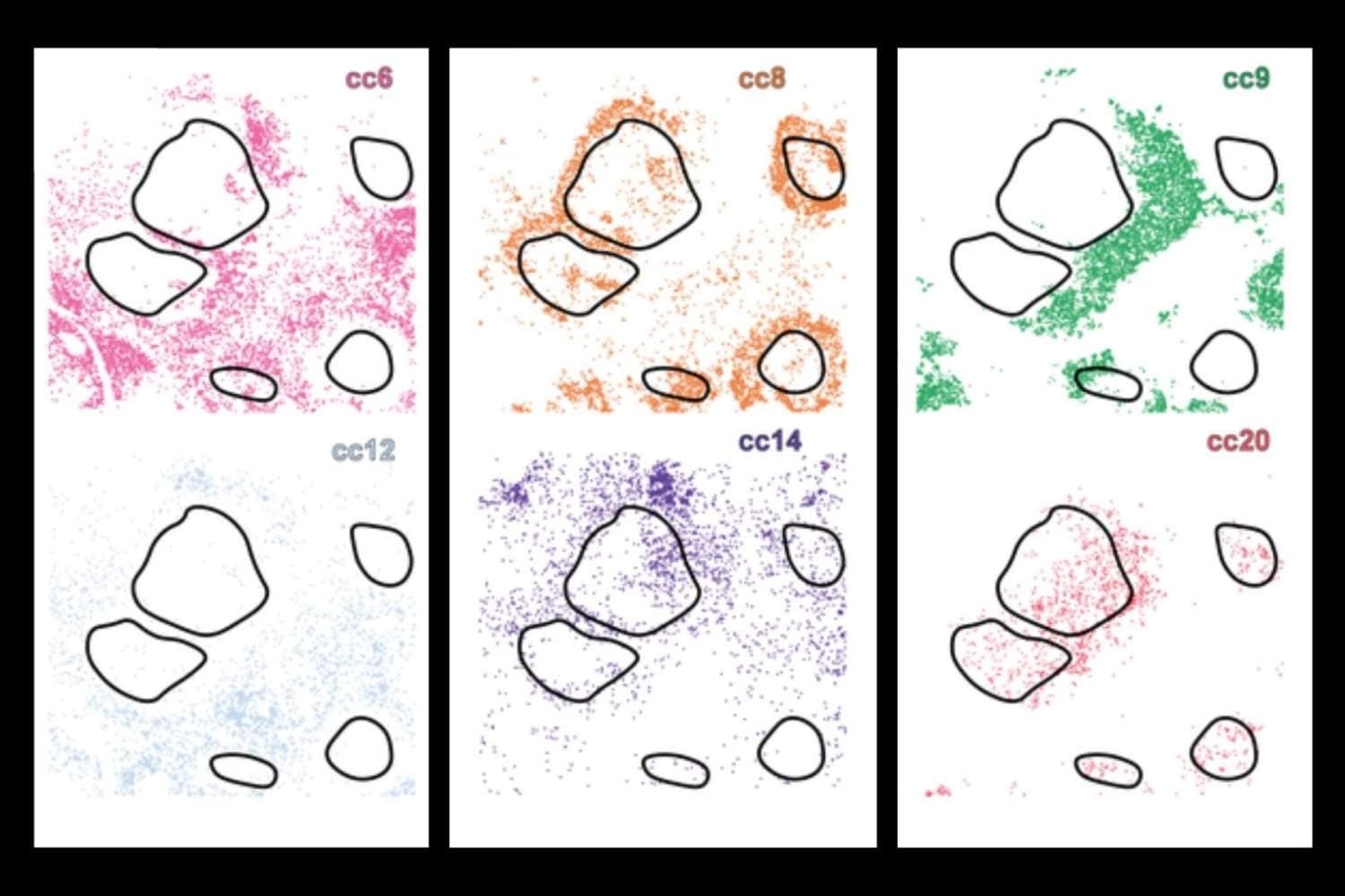 New AI system uncovers hidden cell subtypes, boosts precision medicine New AI system uncovers hidden cell subtypes, boosts precision medicine