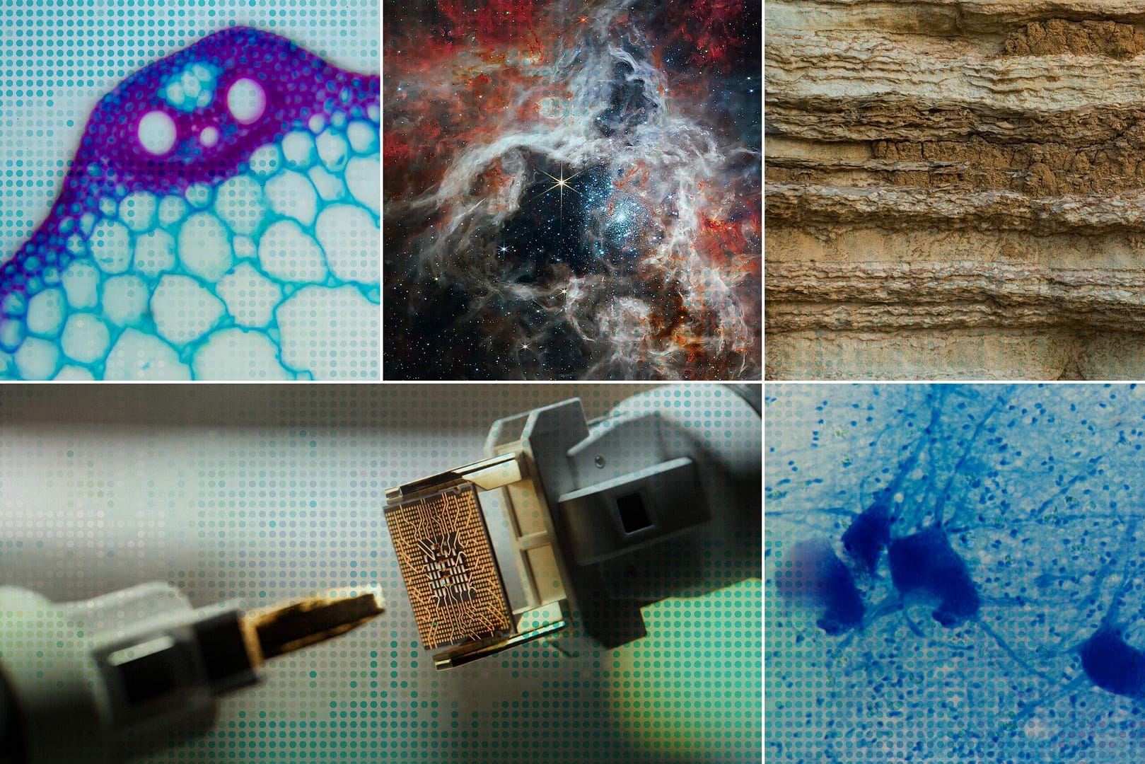 Accelerating scientific discovery with AI Accelerating scientific discovery with AI