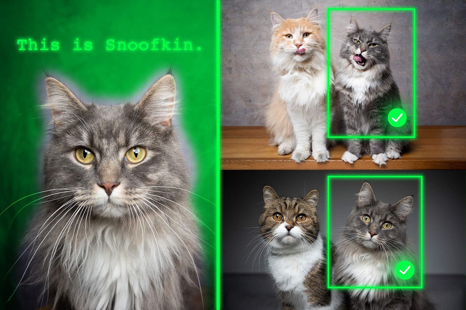 Method teaches generative AI models to locate personalized objects Method teaches generative AI models to locate personalized objects